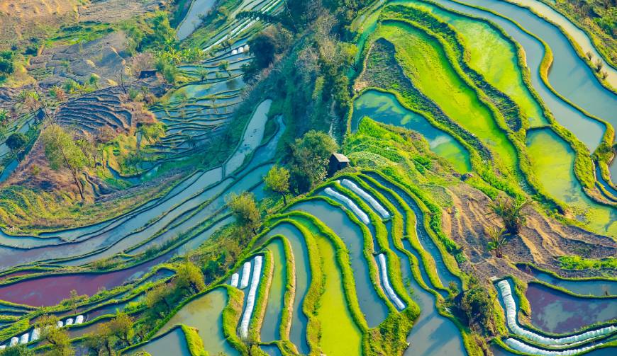 八步区产品视频拍摄